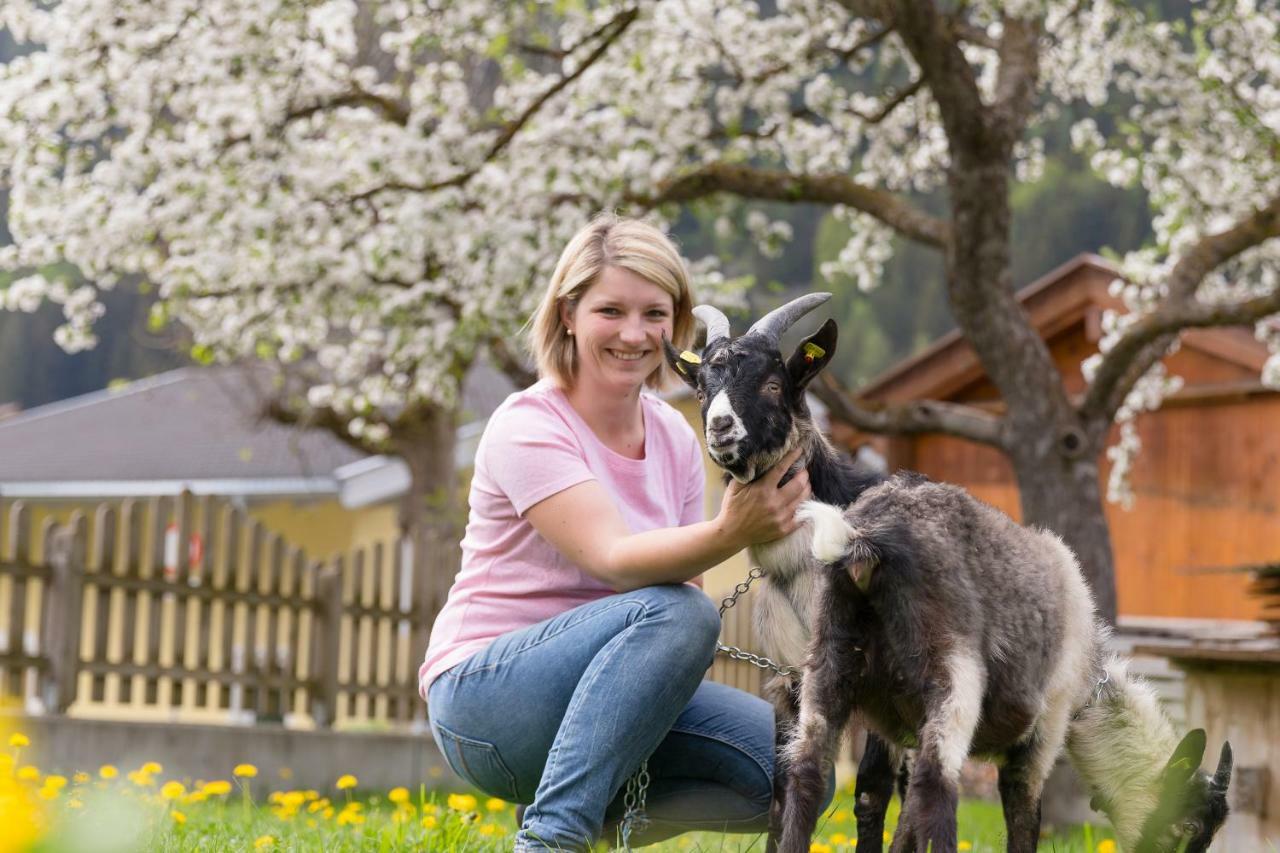 Hieserhof Neustift im Stubaital Ngoại thất bức ảnh